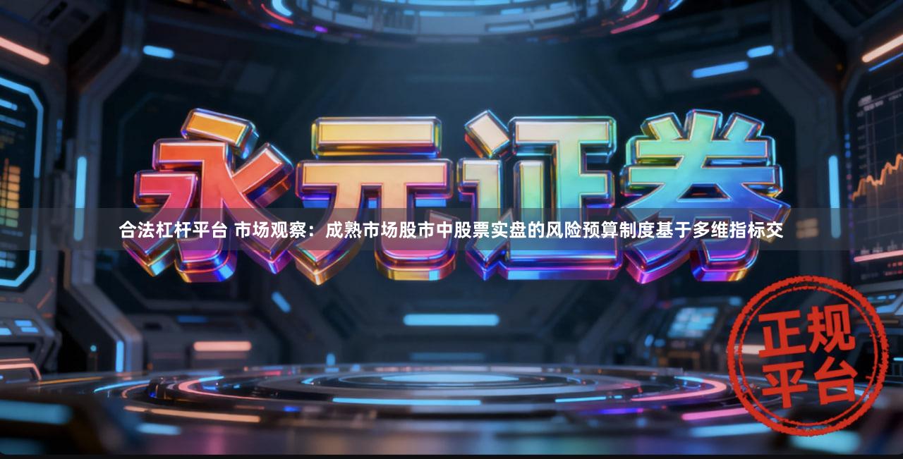 合法杠杆平台 市场观察：成熟市场股市中股票实盘的风险预算制度基于多维指标交